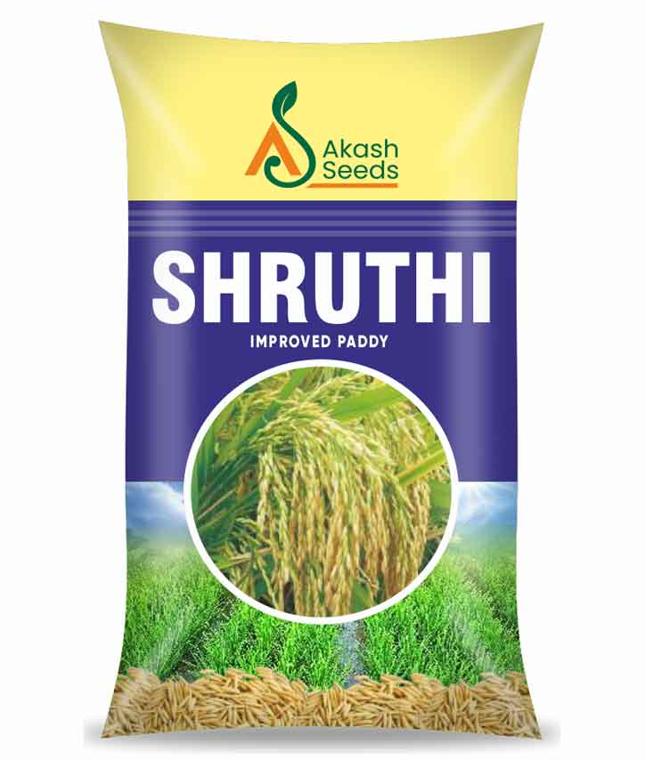 shruthi-paddyseeds